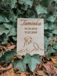 Gravírovaná cedule s překližky o síle 10mm (100x150)